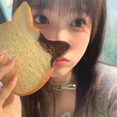 豹